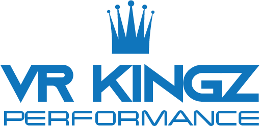 VR KINGZ Performance
